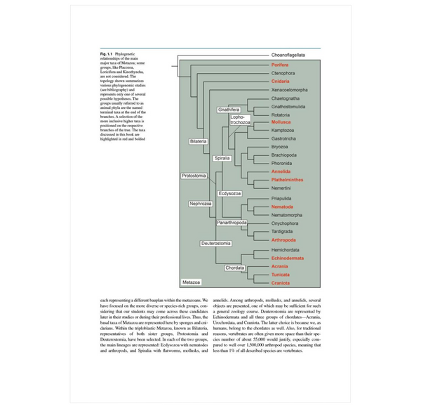 Metazoa – Morphology and Evolution of Animals: A Practical Guide to the Dissection and Comparative Study of Animals