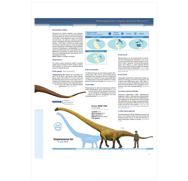 Récords y Curiosidades de los Dinosaurios: Saurópodos y Otros Sauropodomorfos