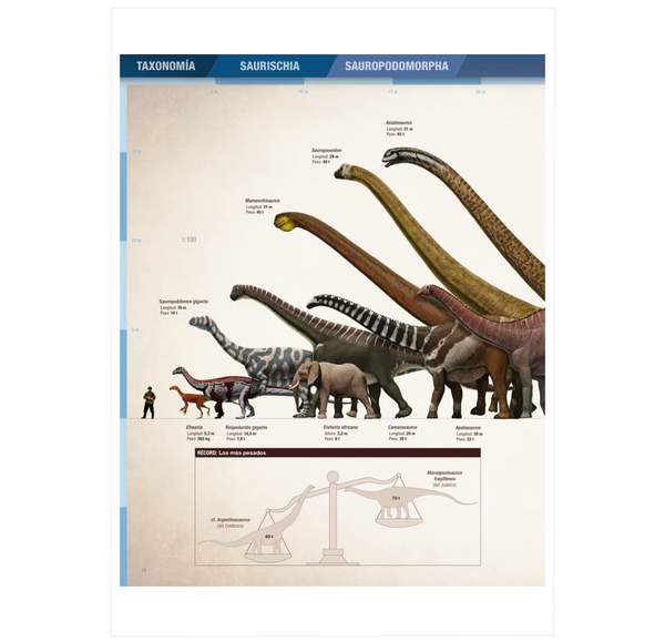 Récords y Curiosidades de los Dinosaurios: Saurópodos y Otros Sauropodomorfos