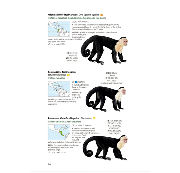 Neotropical Primates