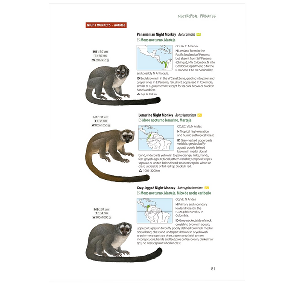 Neotropical Primates