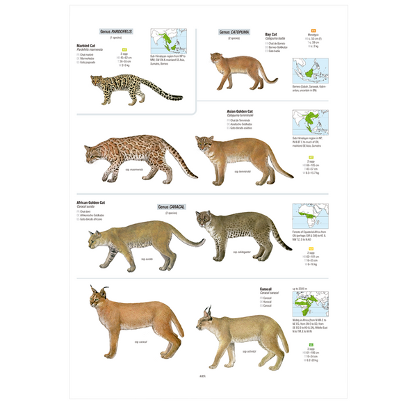 All the Mammals of the World