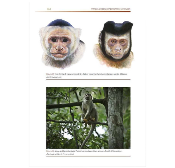 Primates: Biología, Comportamiento y Evolución