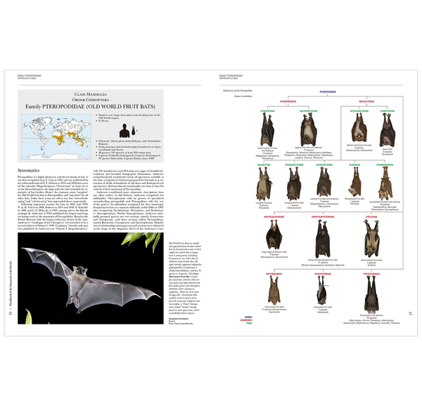 Handbook of the Mammals of the World. Vol.9: Bats