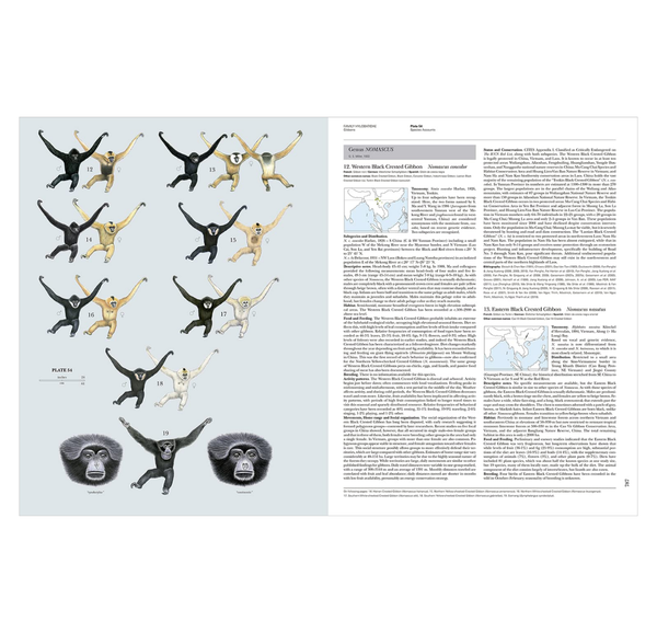 Handbook of the Mammals of the World. Vol.3: Primates