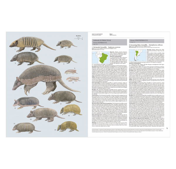 Handbook of the Mammals of the World. Vol.8: Insectivores, Sloths and Colugos