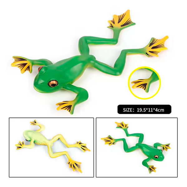 Modelo de Simulación de Rana, Ciclo de Crecimiento y Figuras de Ranas (+3)