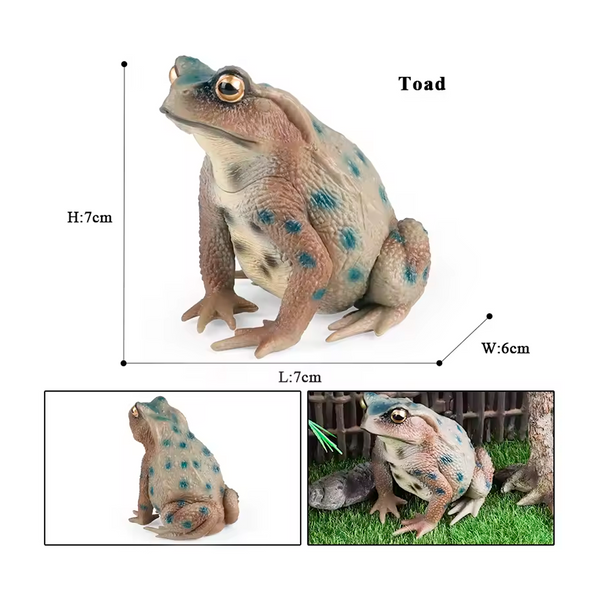 Modelo de Simulación de Rana, Ciclo de Crecimiento y Figuras de Ranas (+3)