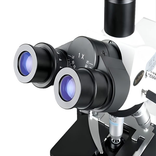 Microscopios Compuestos Trinoculares AmScope Serie T690 desde 40X hasta 2500X 