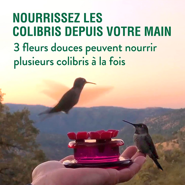 Bebedero Para Colibríes Perky-Pet Portátil 2 oz