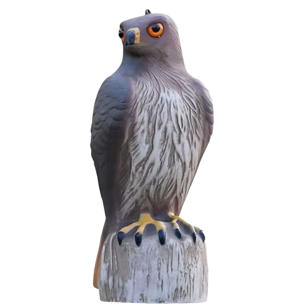 Águila Ahuyentadora de Aves