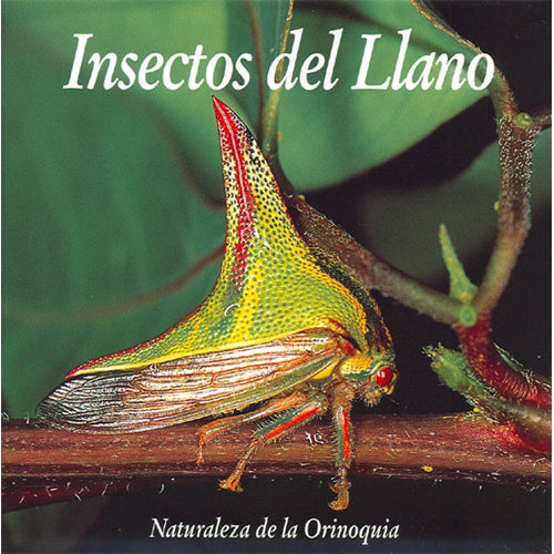 Insectos del Llano