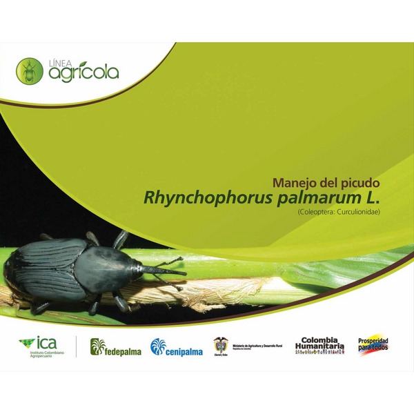 Manejo del Picudo Rhynchophorus palmarum L.
