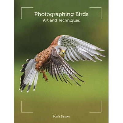 Photographing Birds: Art and Techniques