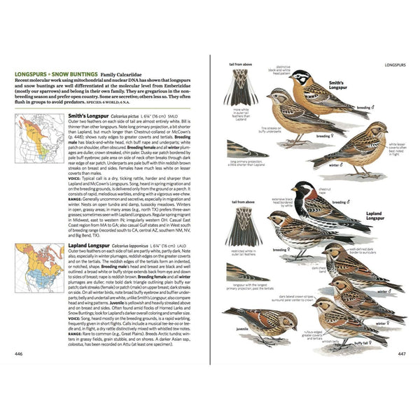 National Geographic Field Guide to the Birds of North America, 7th Ed