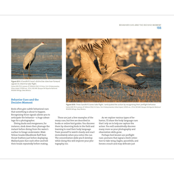 Mastering Bird Photography: The Art, Craft, and Technique of Photographing Birds and Their Behavior