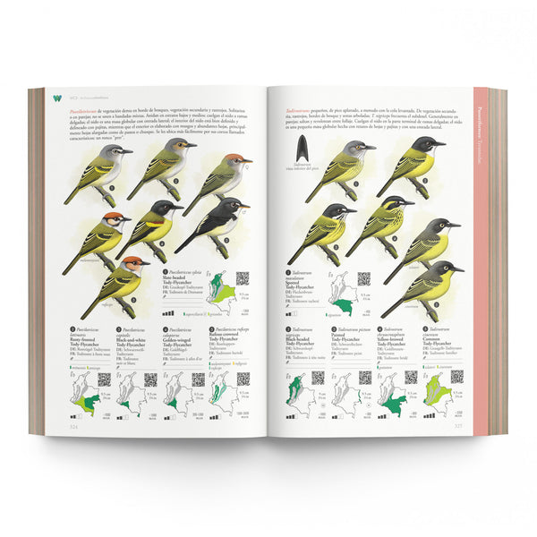 Guía Ilustrada de la Avifauna Colombiana, 3era Edición