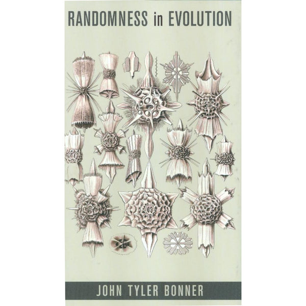 Randomness in Evolution