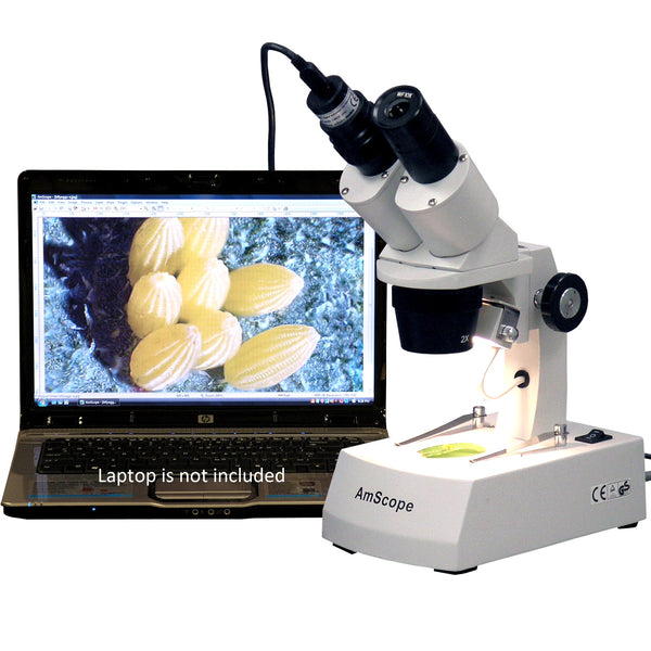 Microscópios Estéreo Amscope 20X-40X-80X con Cámara USB