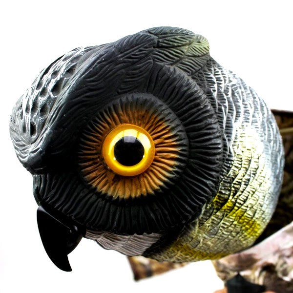 Ahuyentador Bird-X Búho Merodeador