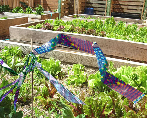 Cinta Iridiscente Ahuyentadora de Aves Irri-Tape Bird-X 