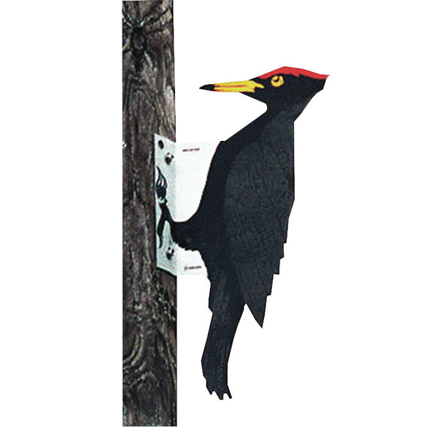 Disuadores Visuales de Aves Woodpecker Bird