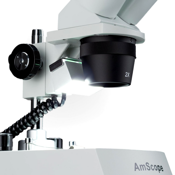 Microscopio Estéreo Binocular con luz LED AmScope / 20x - 40x