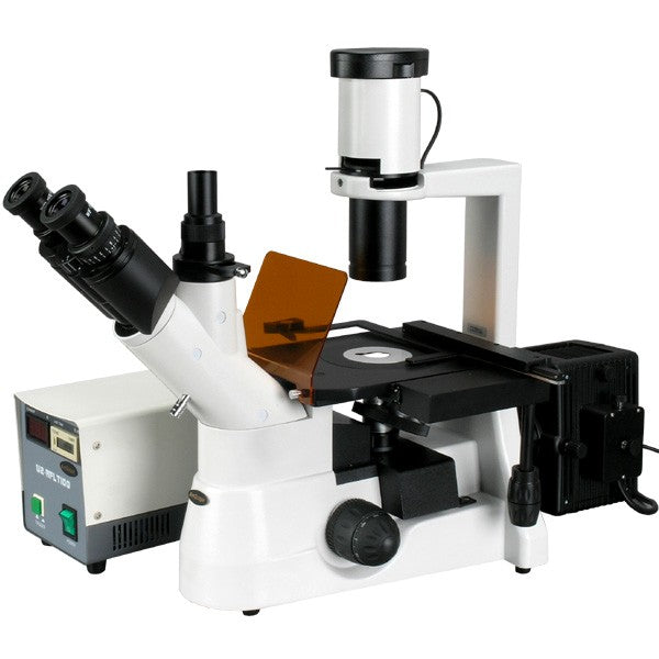 Microscopio de fluorescencia invertida de la cultura de contraste de fase del plan 40x-1000x