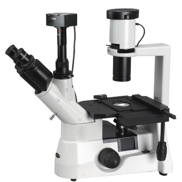 Microscopio invertido de larga duración 40X-1000X + cámara de 5MP