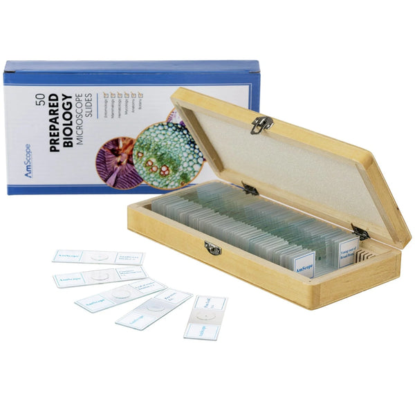 Kit Amscope de Portaobjetos con muestras preparadas de plantas, hongos, insectos y mamíferos x 50 ud
