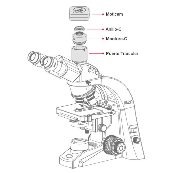 Montura-C para Microscopios Trinoculares para Series Motic BA & AE